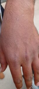 61e1cf0b-e002-40b5-8cbb-a3f6e9e58542