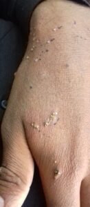 6302bb0f-3db2-4246-9ac9-16df94419b91