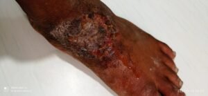 716e5d2e-52c8-47b2-89be-4df6464394fa